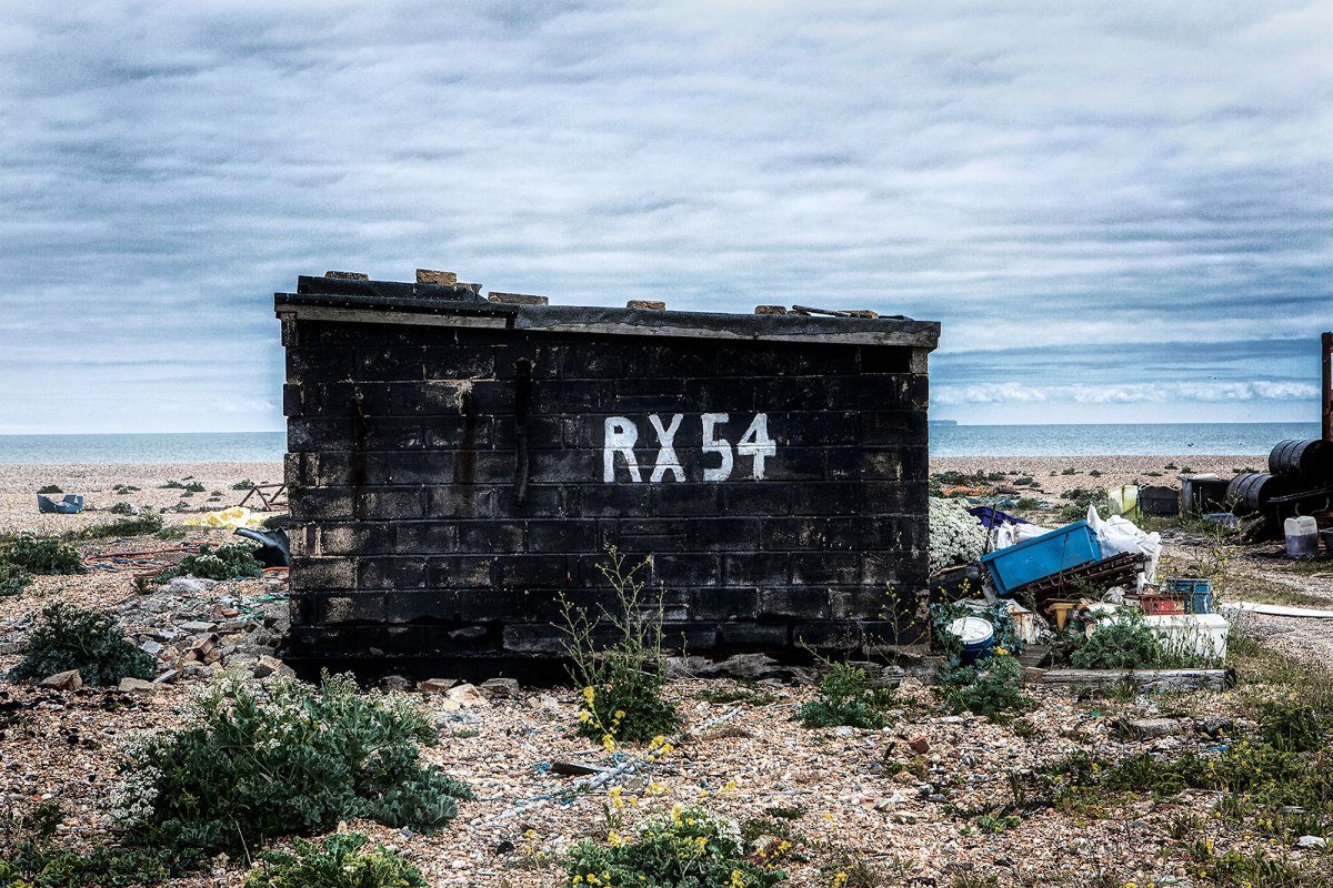 RX54
