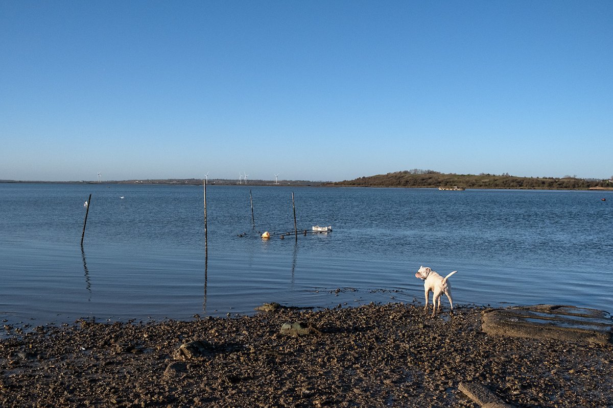 Harty Ferry 