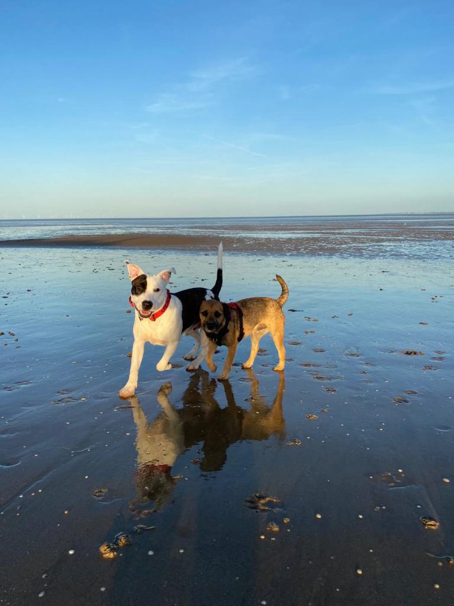 Snoop and Jackson