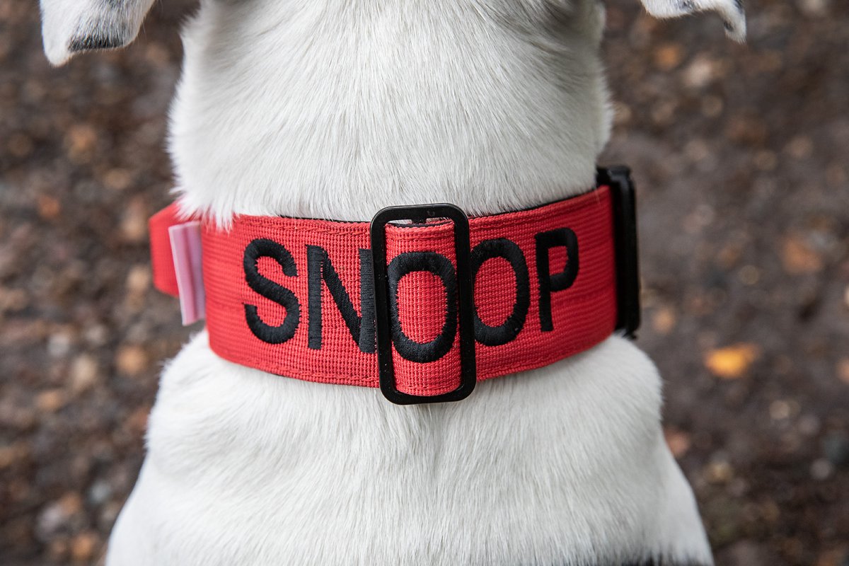 SNOOP