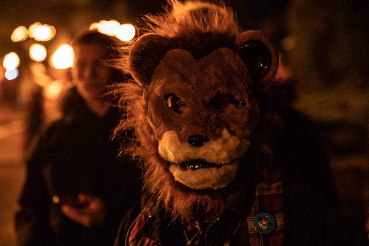 mum-mum lion