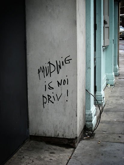 more mudwig