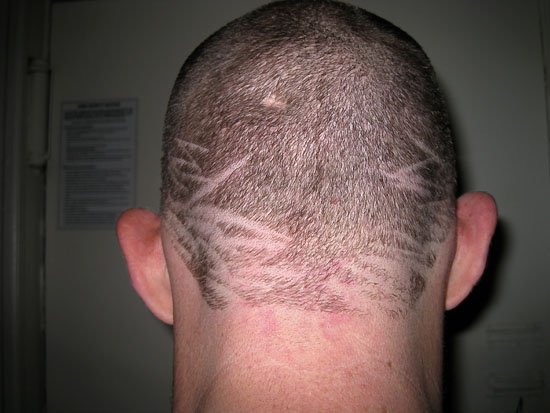 i give you head/s