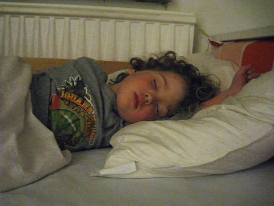 z, sleeping like a baby