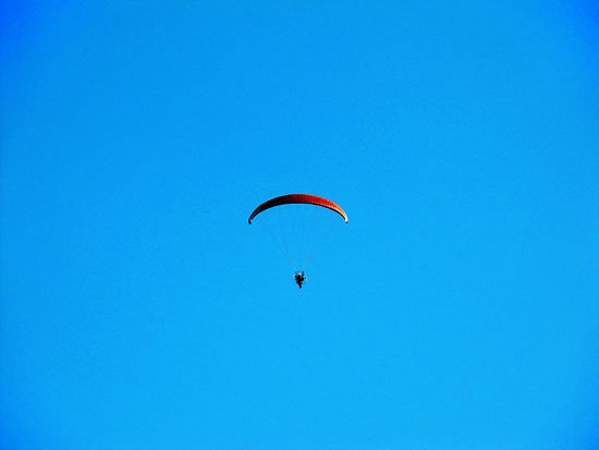 icarus