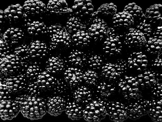 bramble