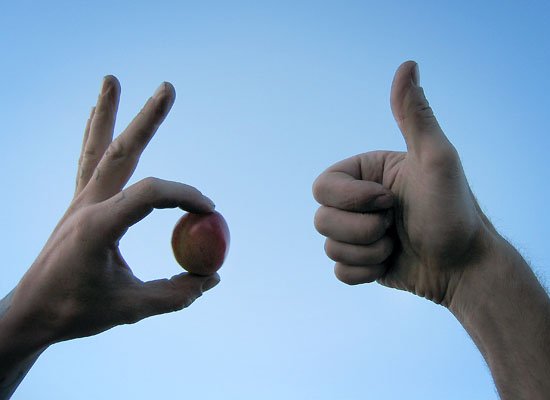 look at me plums