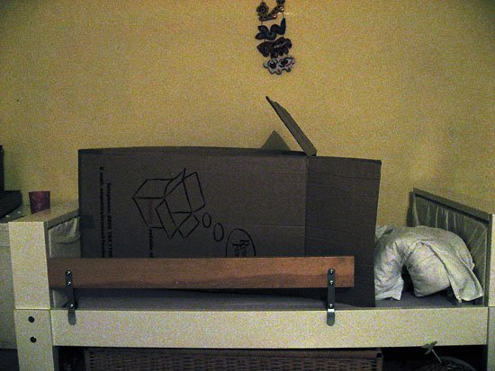 kid in a box