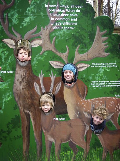 happy new year deers