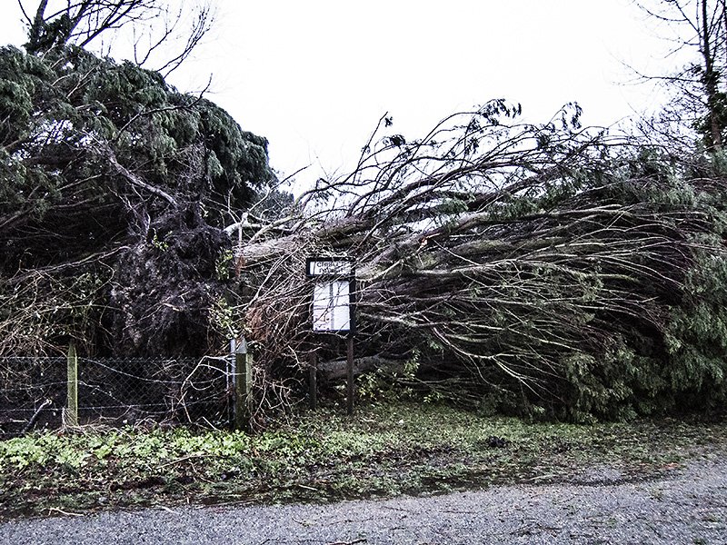 storm damage