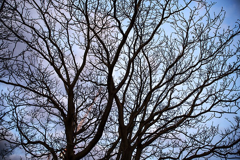 the blue skies are coming