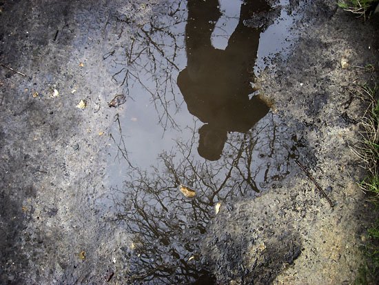 harry and puddle