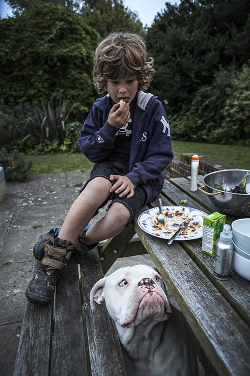 stealth bunny