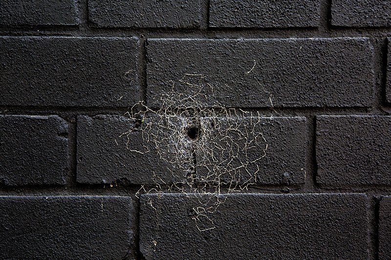 a black hole