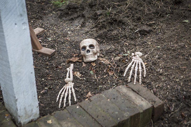 the piltdown man